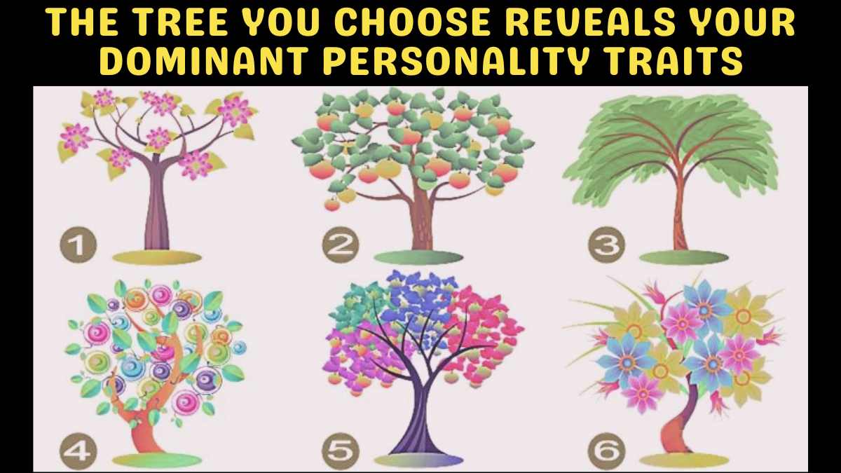 Personality Test: The Tree You Choose Reveals Your Dominant Personality Traits