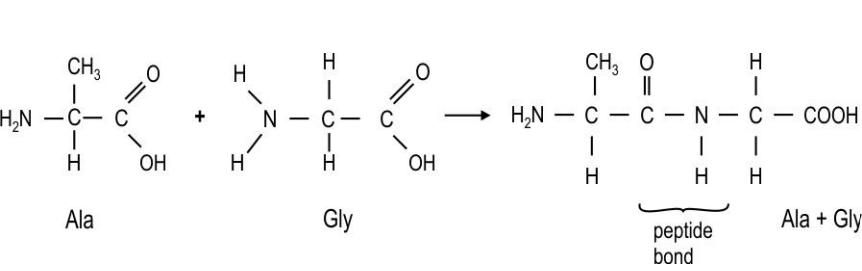 Chemistry Paper Image 6