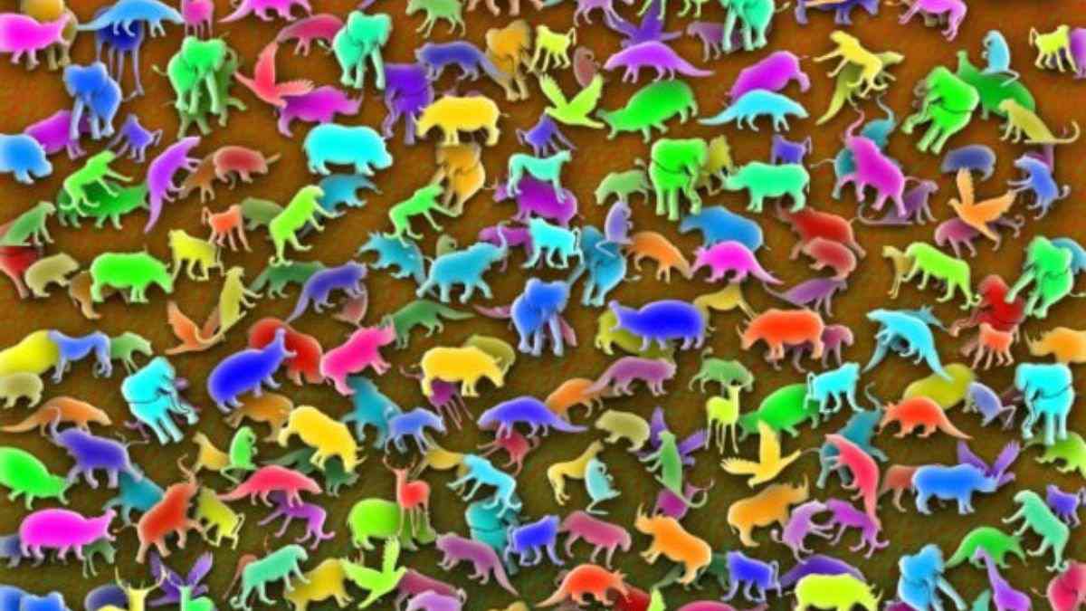 Optical Illusion for Testing Your IQ: Can you find the Giraffe Hidden Among  Toy Animals in 11 Secs?