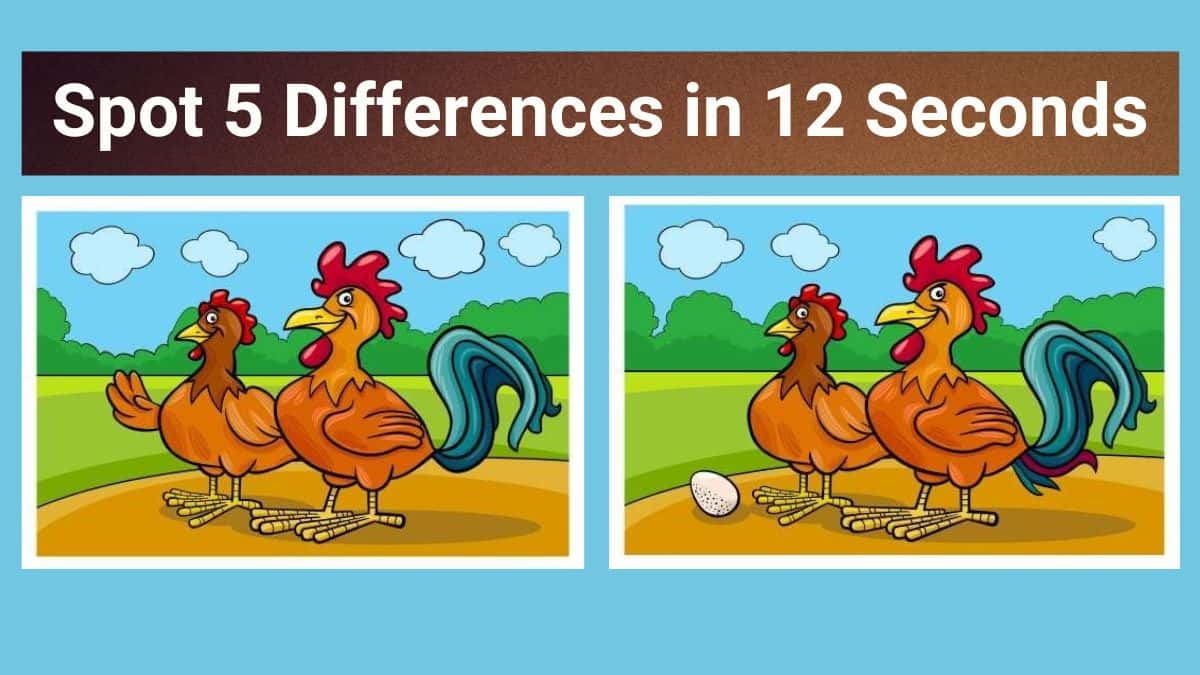 Spot 5 Differences in 12 Seconds