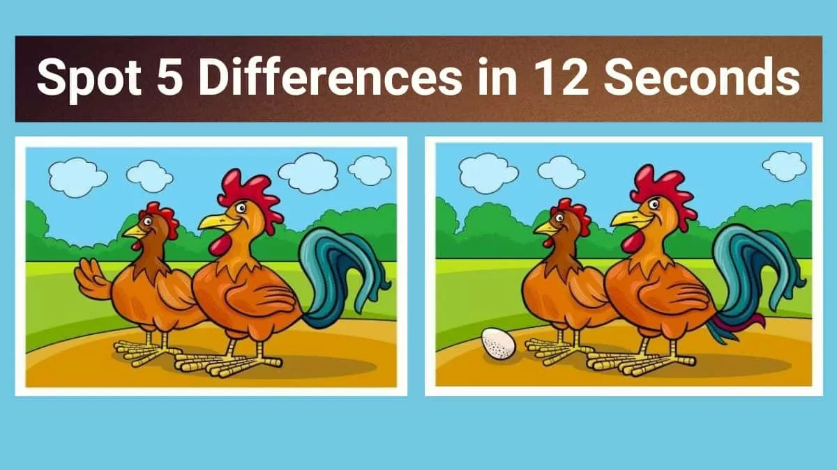 Spot The Difference: Can you spot 5 differences between the two ...