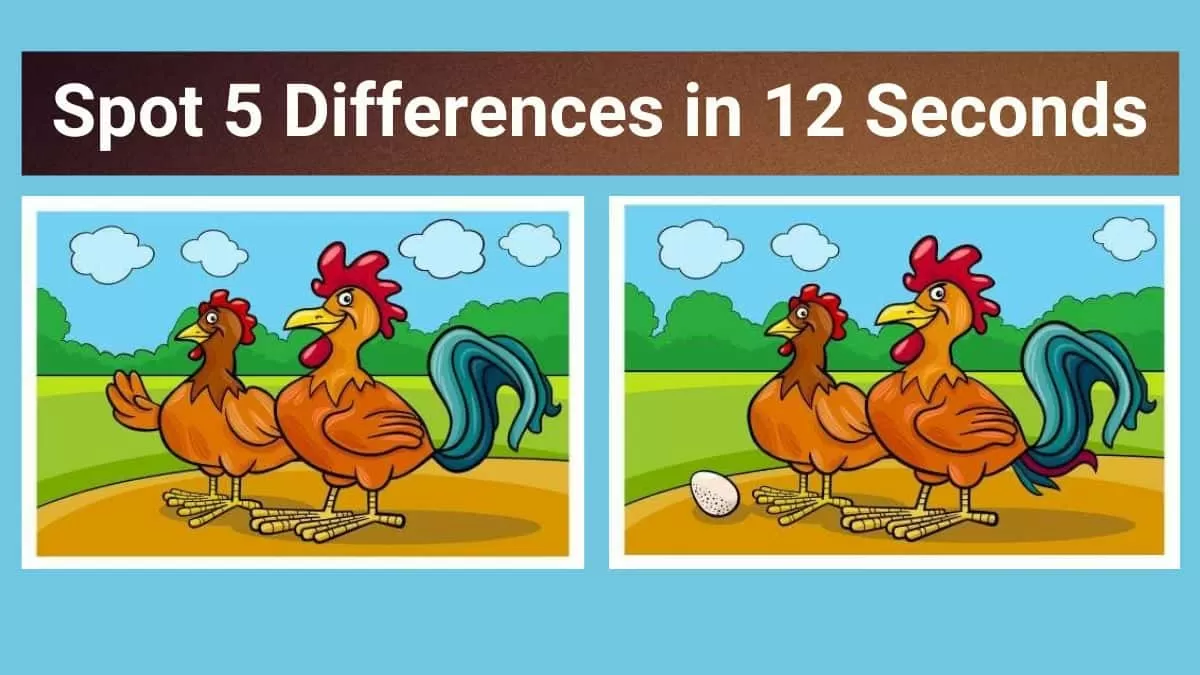 Spot The Difference: Can you spot 5 differences between the two images in  13 seconds?