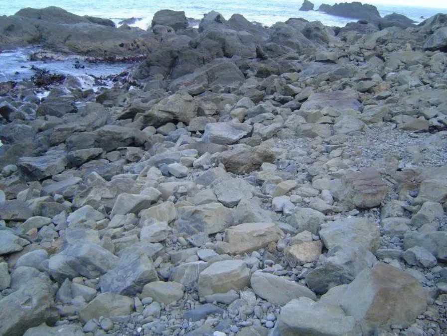 We Dare You To Spot The Seal On The Rocky Shore In 15 Seconds In This  Mind-Blowing Optical Illusion!