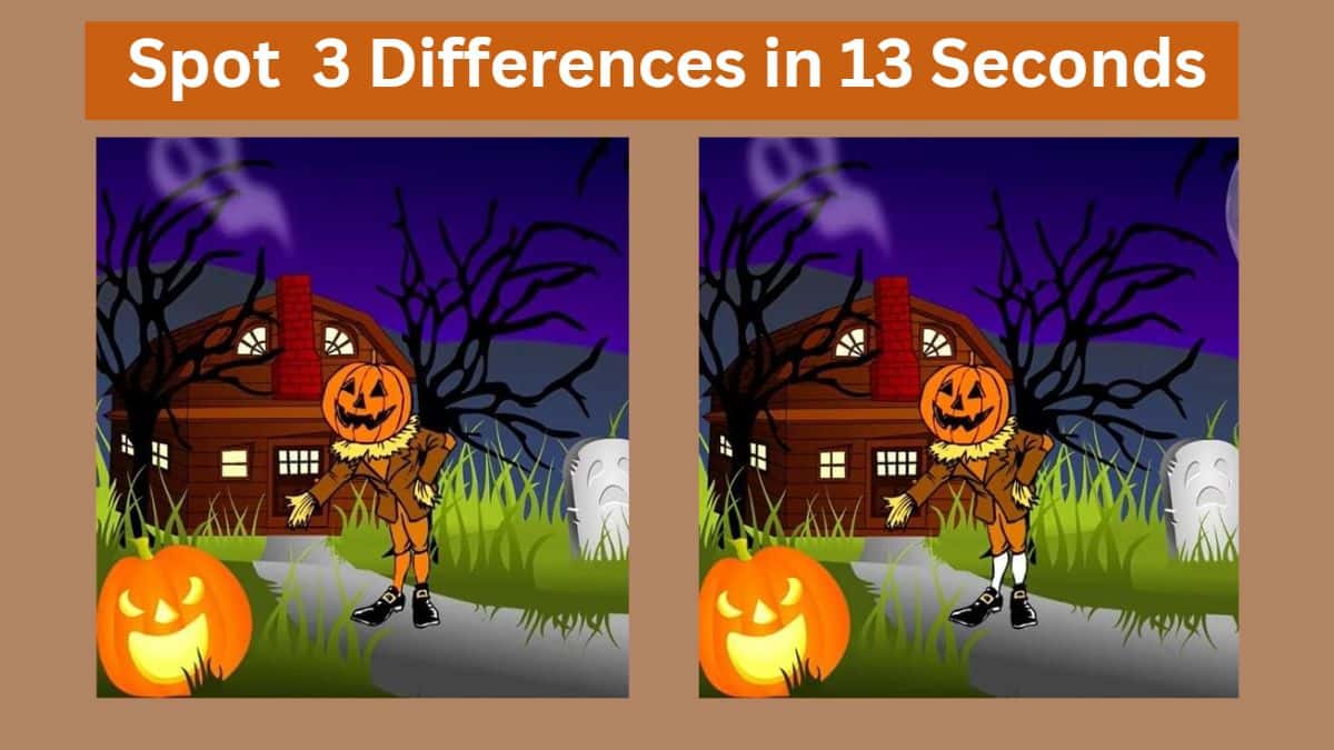 Spot 3 Differences in 13 Seconds