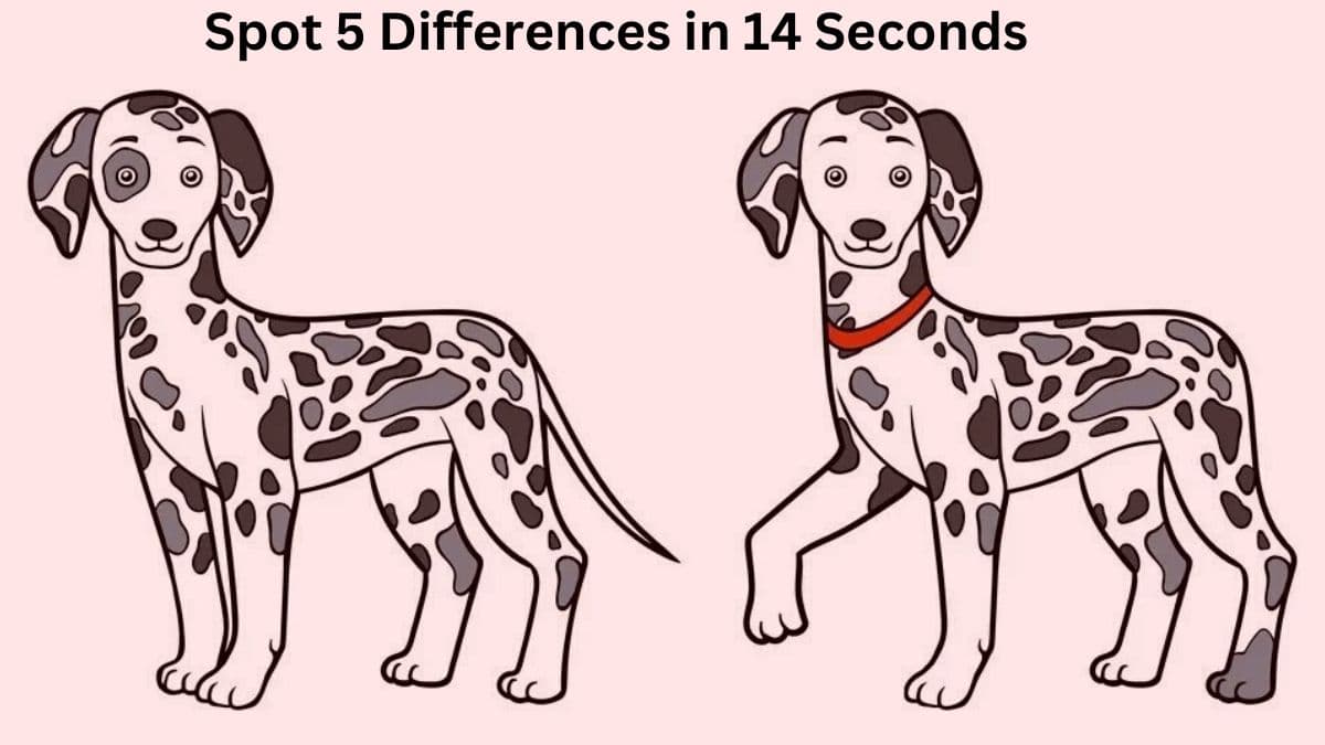 Spot 5 Differences in 14 Seconds