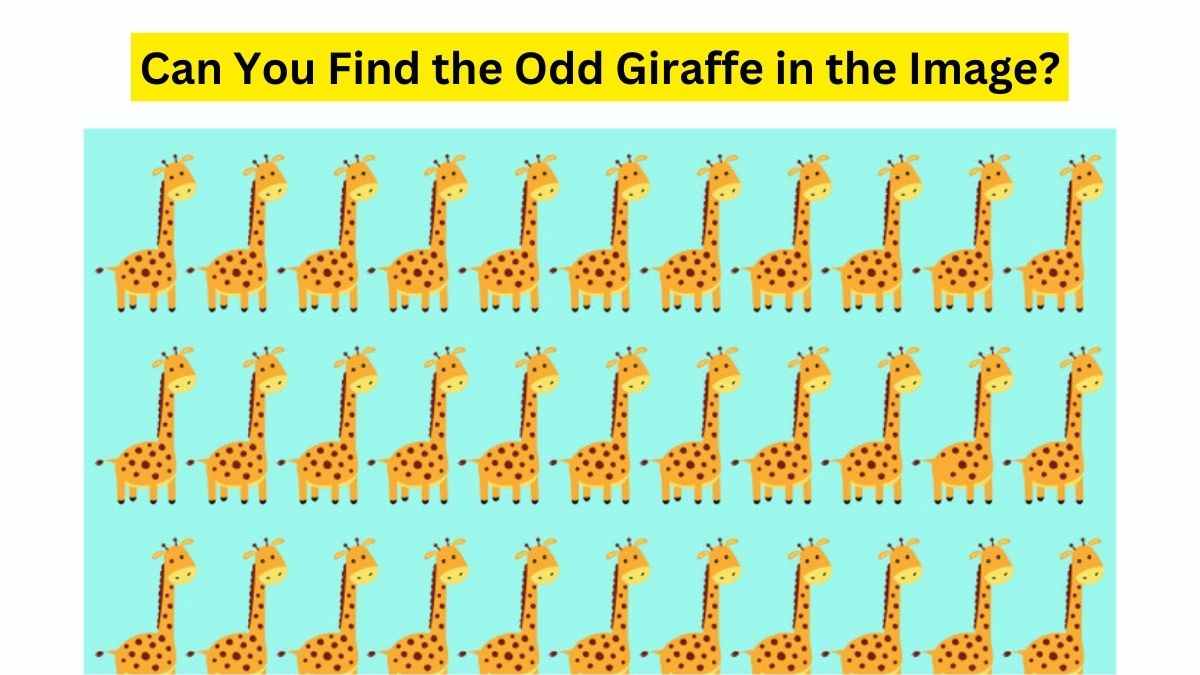 brain-teaser-for-fun-joey-the-hungry-giraffe-is-missing-can-you-find-him-in-the-tower-within