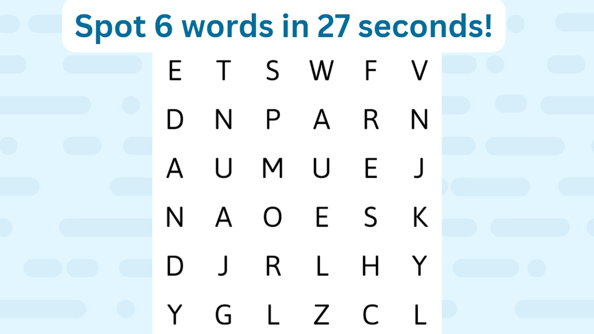 Word Search Puzzle - Spot 6 Words In 27 Seconds!