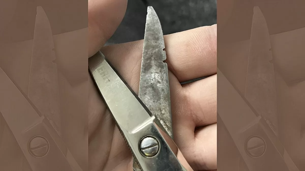 Find Hidden Face on Scissors in 5 Seconds
