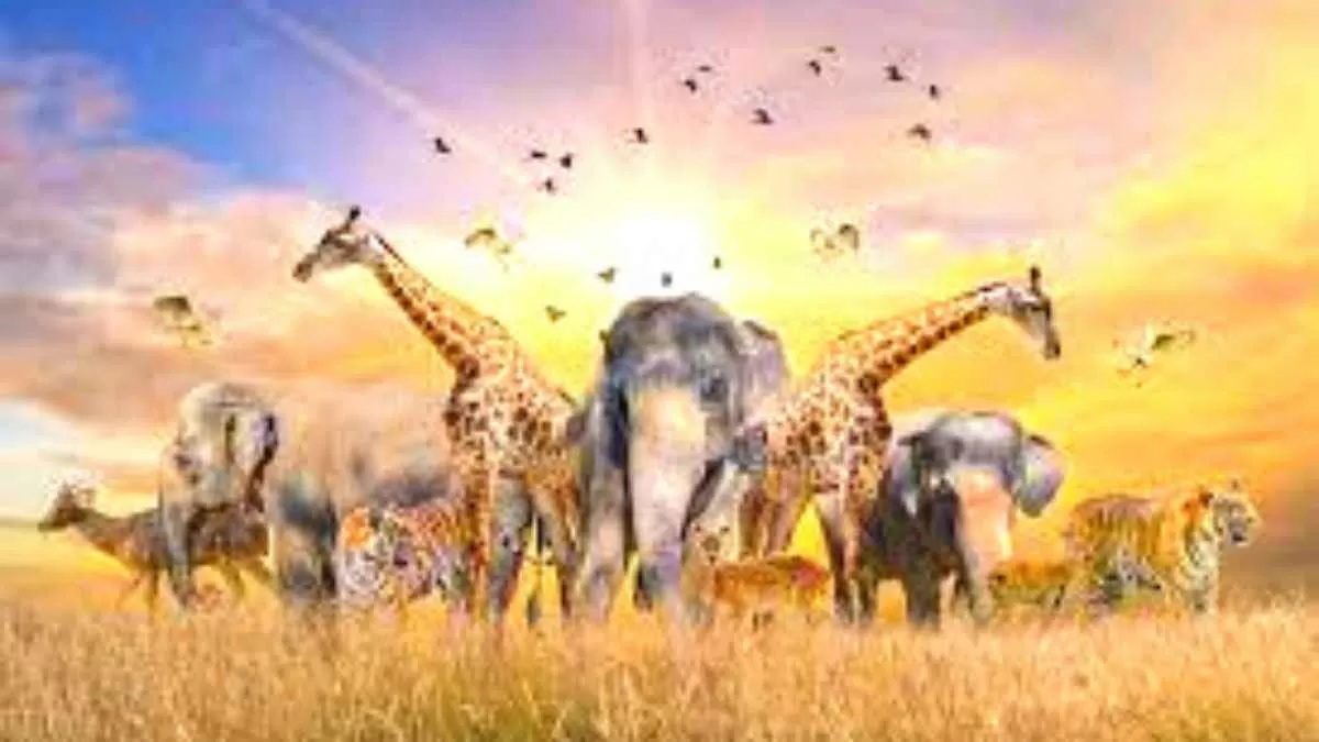 Can you guess the name of the animal?