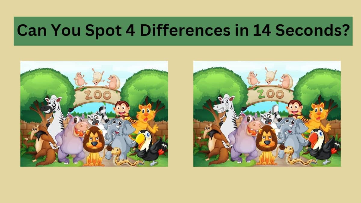 Spot 4 Differences in 14 Seconds