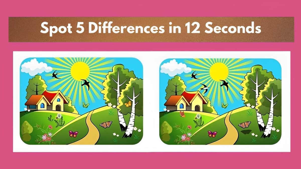 Spot 5 Differences in 12 Seconds