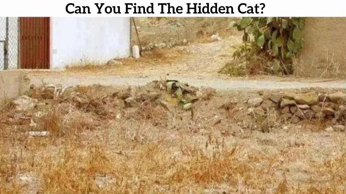 Optical Illusion IQ Test: Only The Top 1% Can Spot The Hidden Animal In The Picture In 7 Seconds!