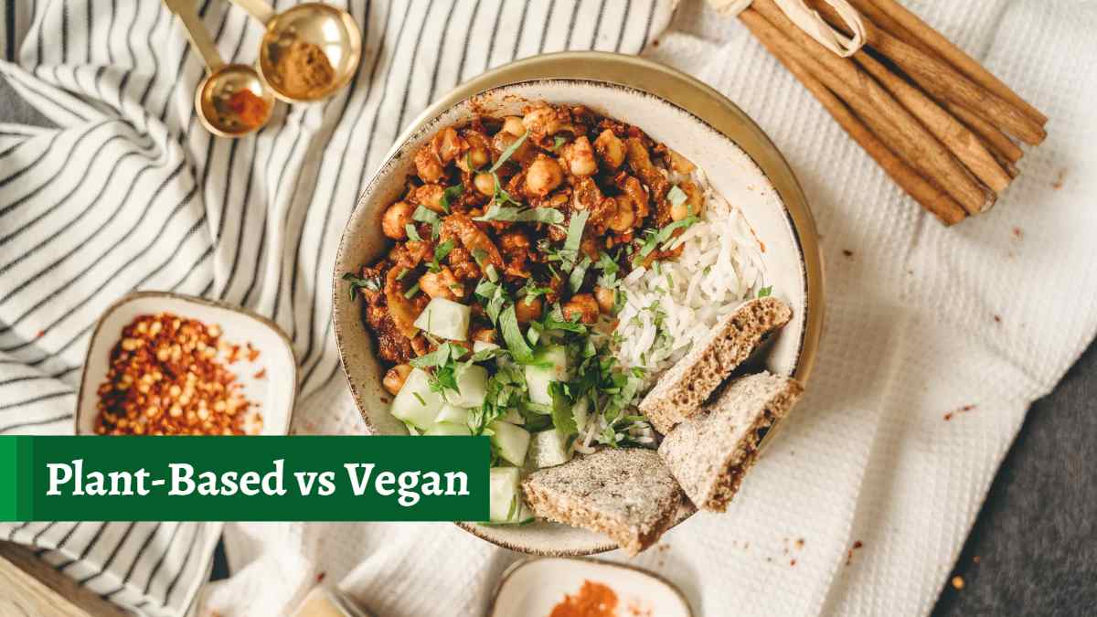 What Is The Difference Between Plant Based And Vegan? 