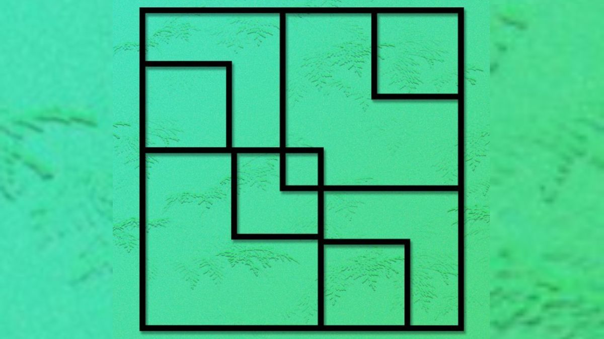 Brain Teaser For Testing Your IQ How Many Squares Can You Count In The 