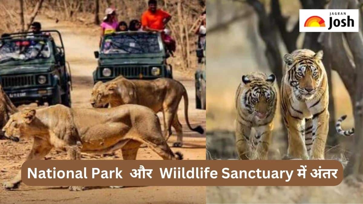 Difference National Park Wildlife Sanctuary 