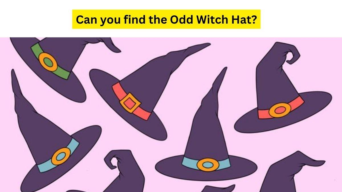 Only people with Great Observational Skills can find the Odd Witch Hat.