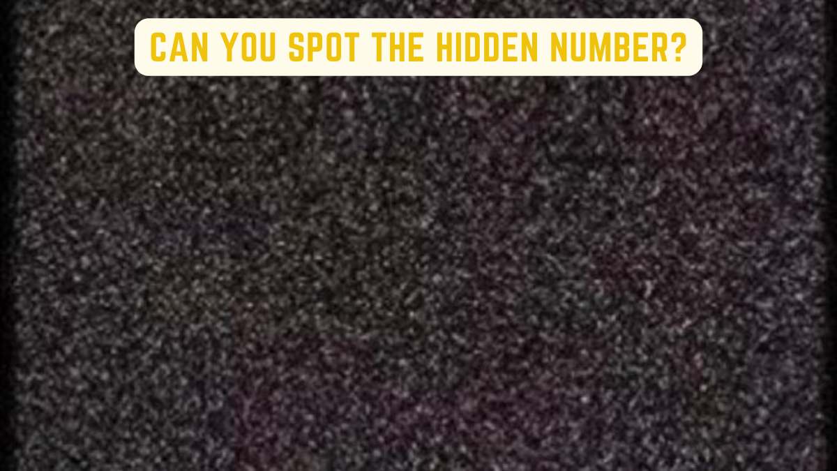 Only people with very sharp vision can spot the hidden number in the optical illusion in 3 seconds. Can you?