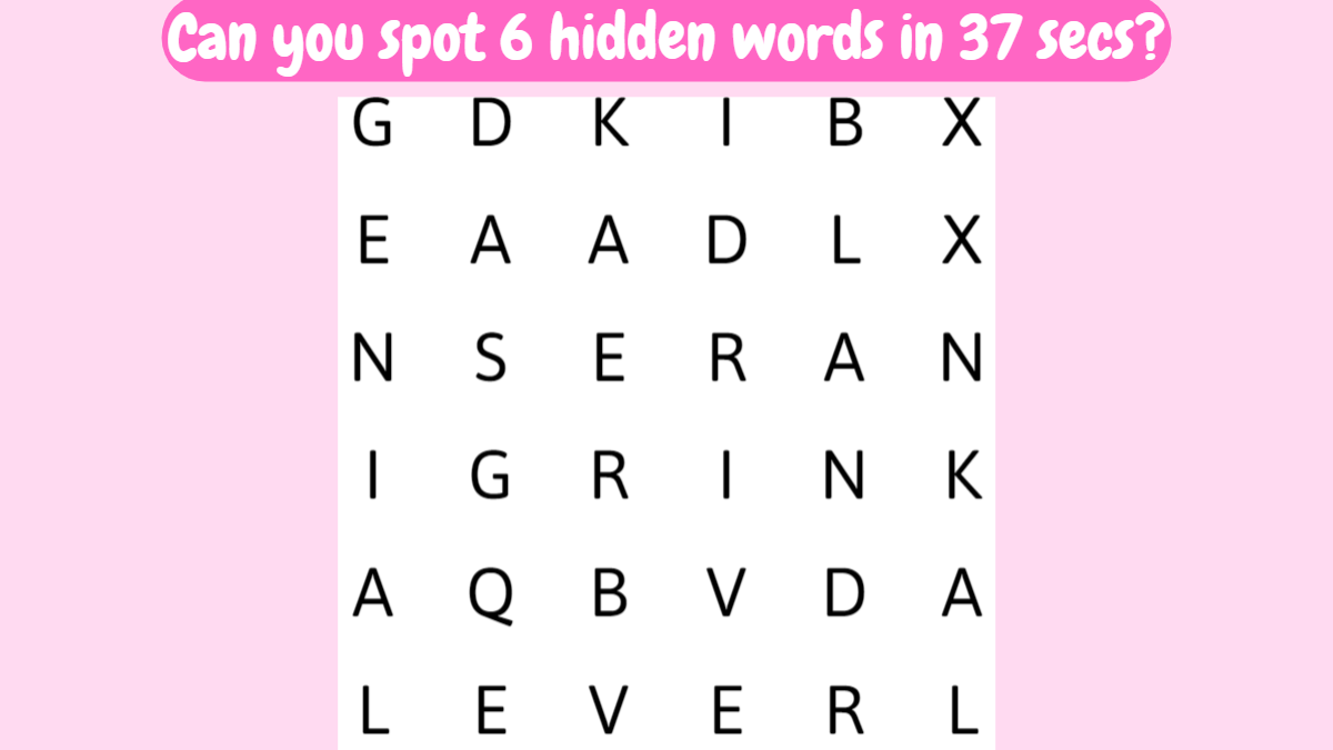 Word Search Puzzle: Can You Spot 6 Words In The Image In 37 Seconds?