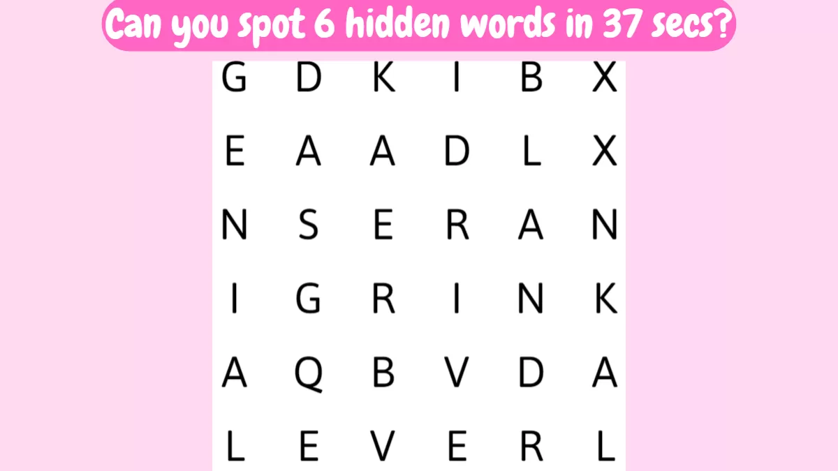 Word Search Puzzle: Can You Spot 6 Words In The Image In 37 Seconds?