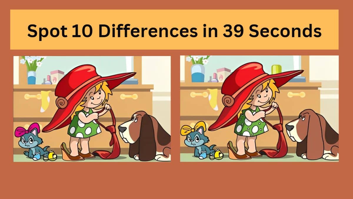 Spot The Difference: Can You spot 10 differences between the two images