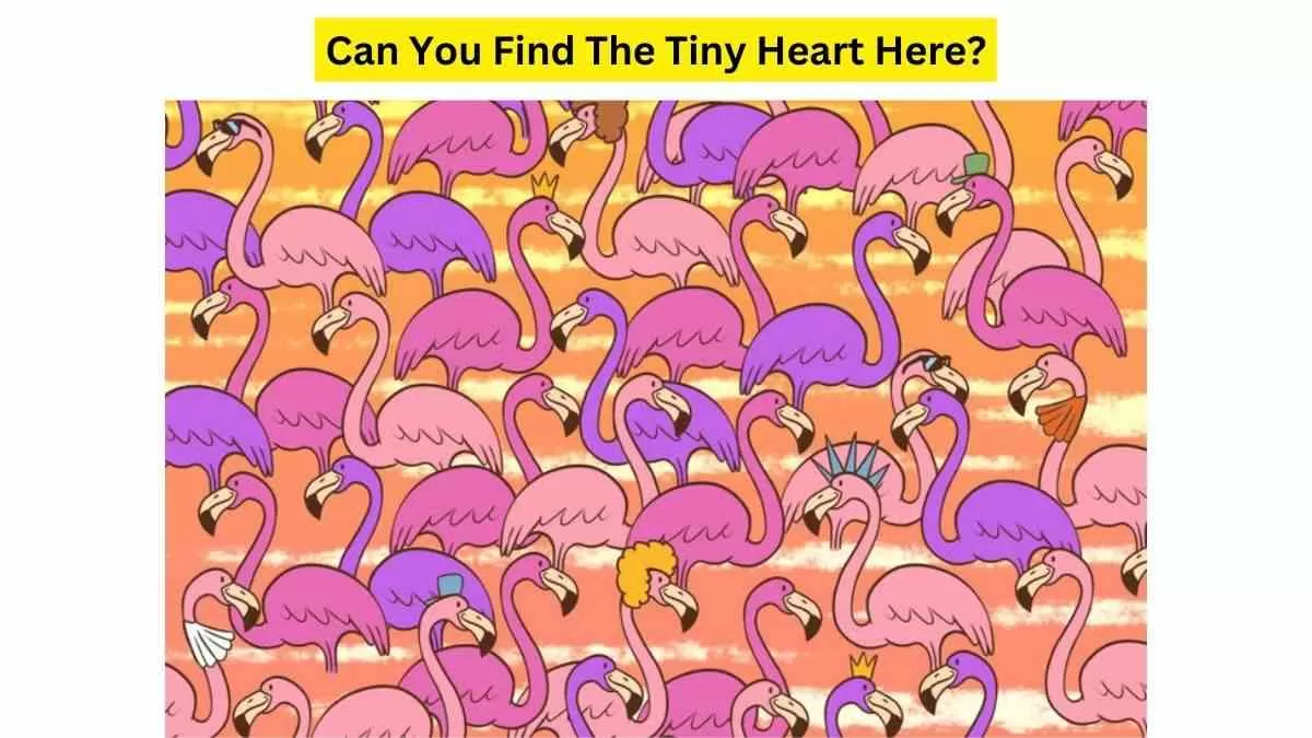 Do you see a tiny heart in the Picture?