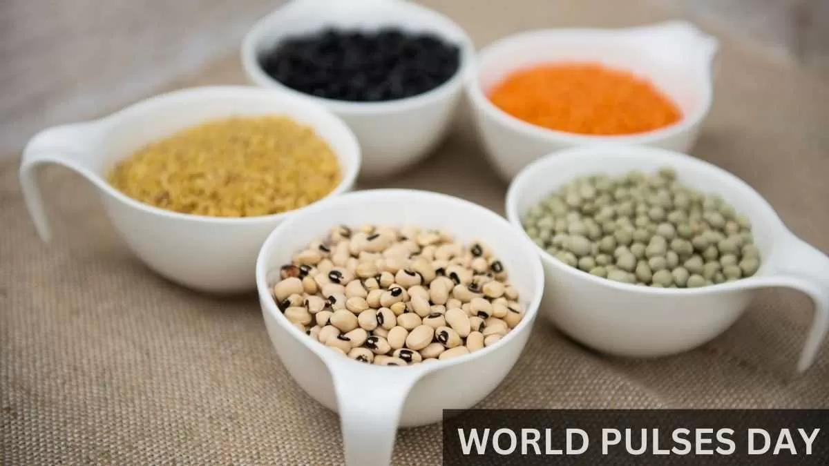 World Pulses Day