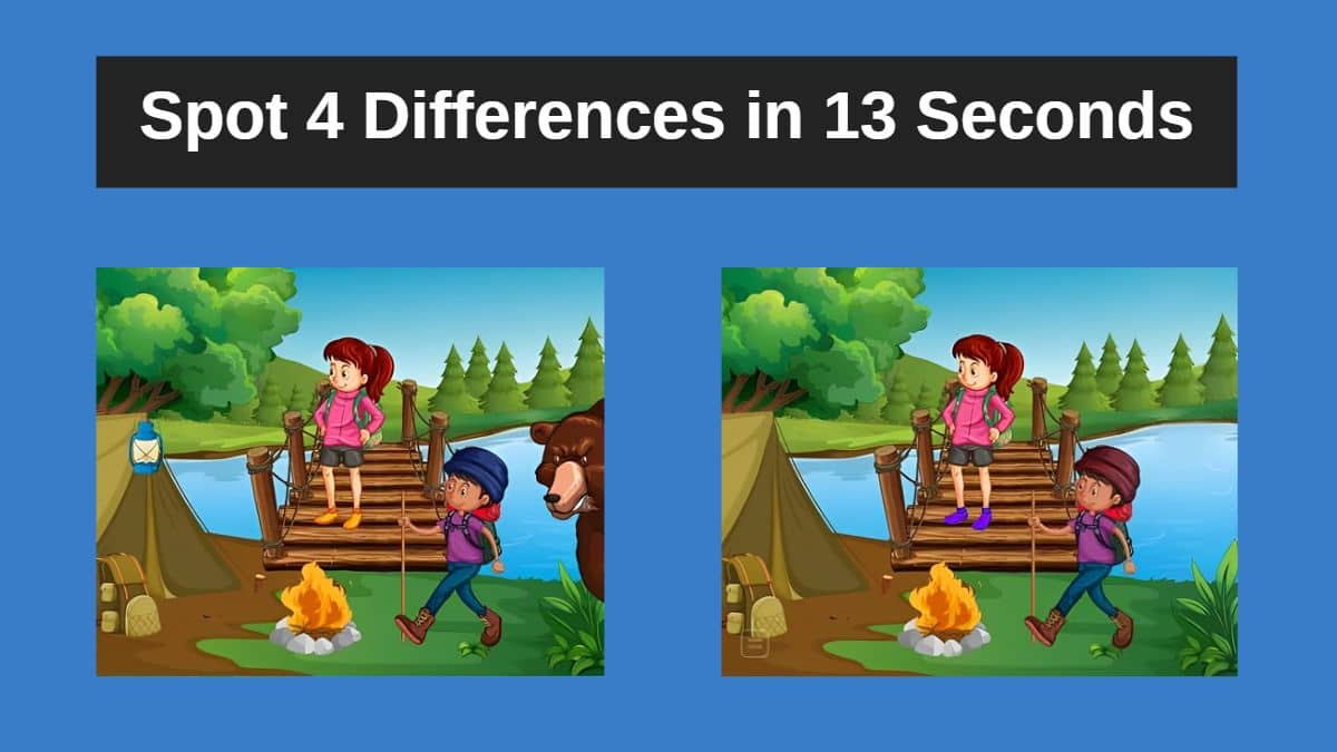 Spot 4 Differences in 13 Seconds