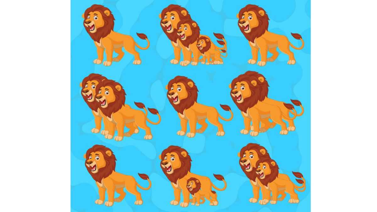 Can you find the right number of Lions in the picture?