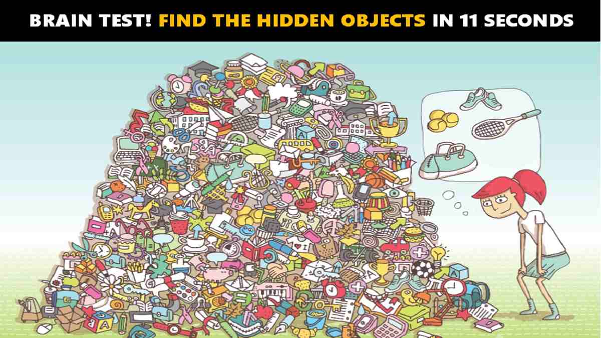 hidden things in pictures