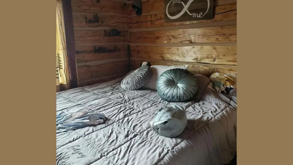 Find Dog in 7 Seconds