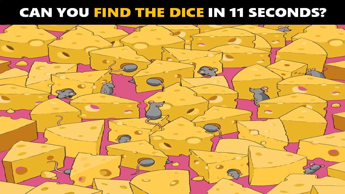 See if you can find the dice among the cheese and mice within 11 seconds? 99% people failed to spot the dice. Prove your genius level with this picture puzzle.