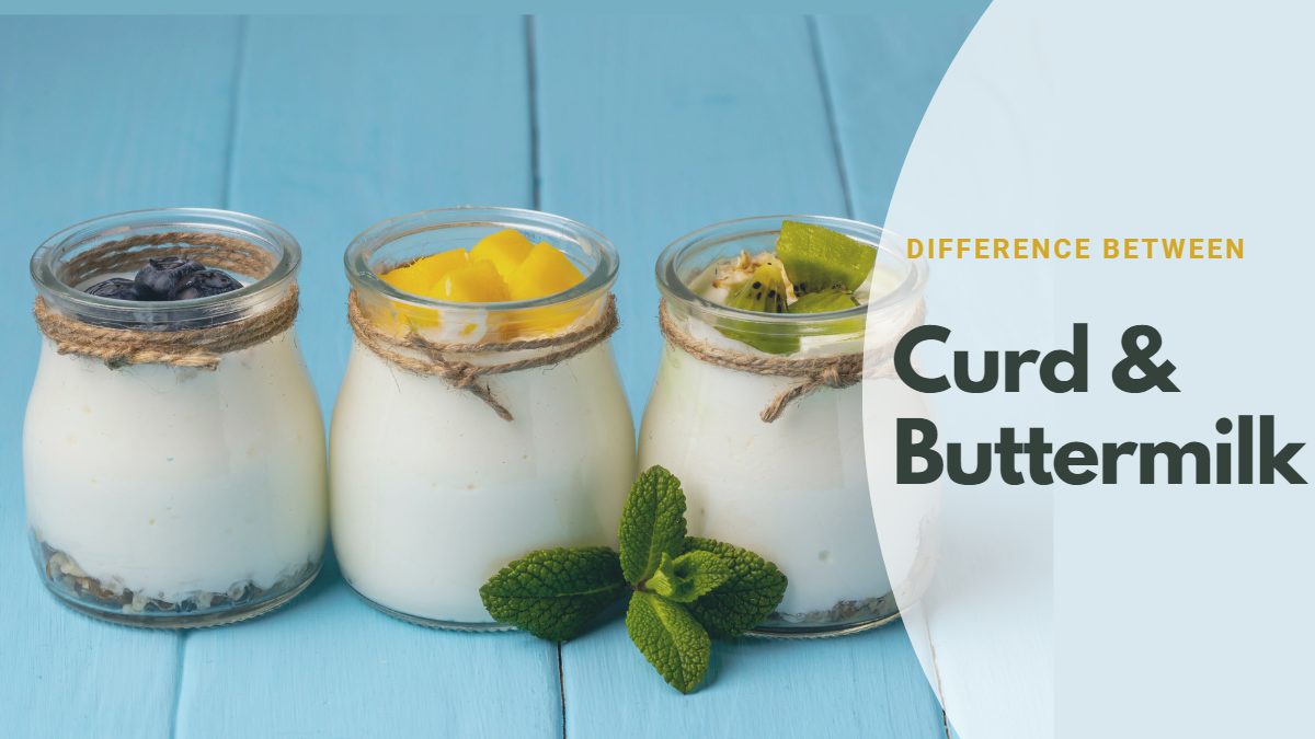 What Is The Difference Between Curd And Buttermilk 