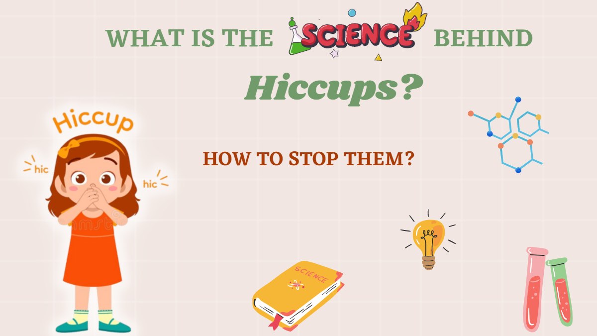 What Is The Science Behind Hiccups? How To Stop Them?