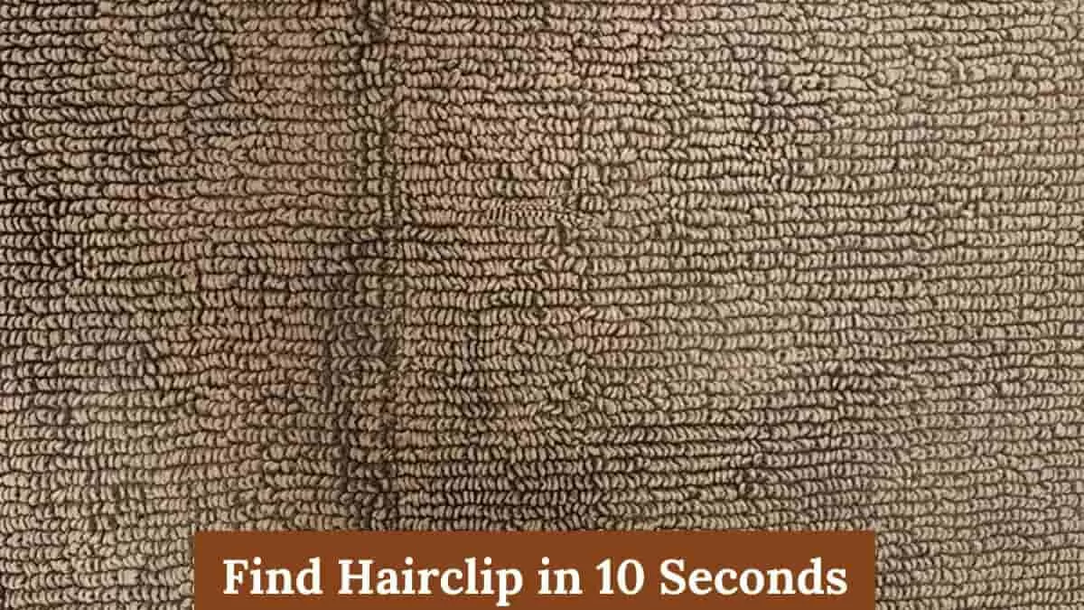 Find Hairclip in 10 Seconds