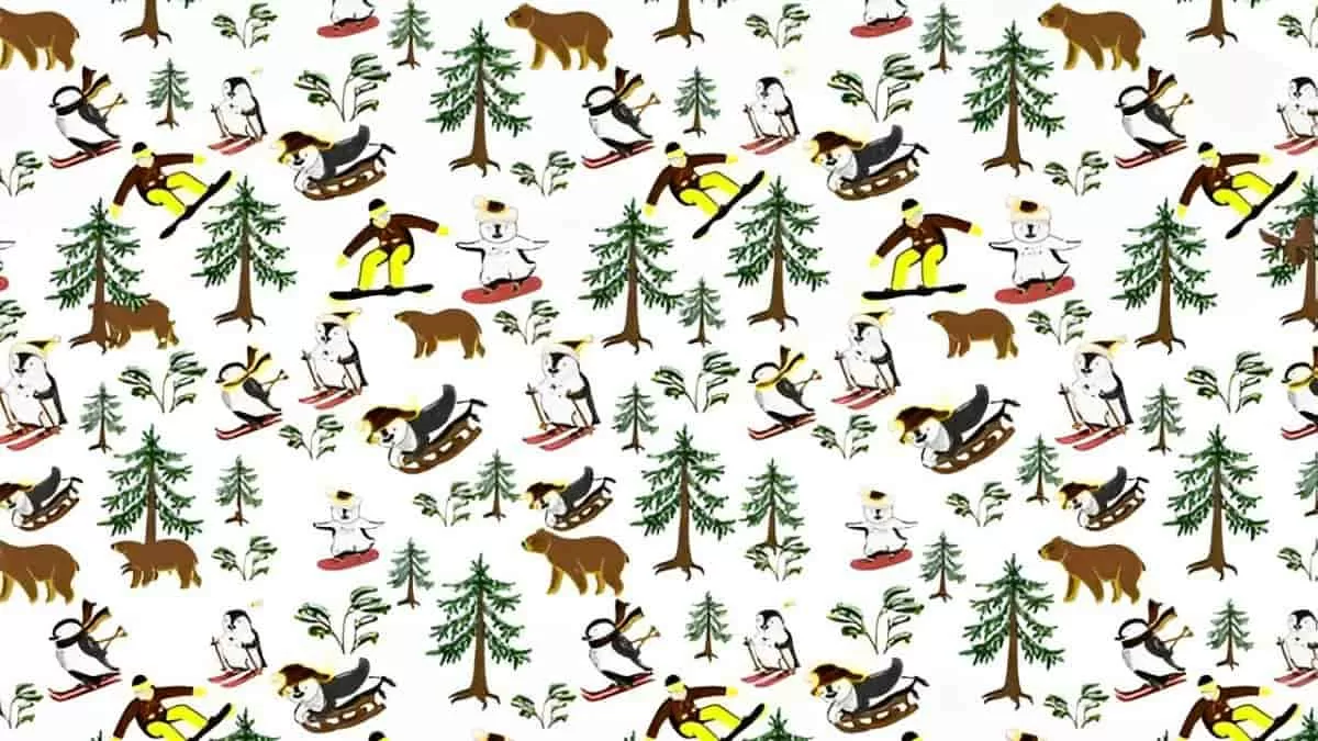 Find Eagle in 9 Seconds