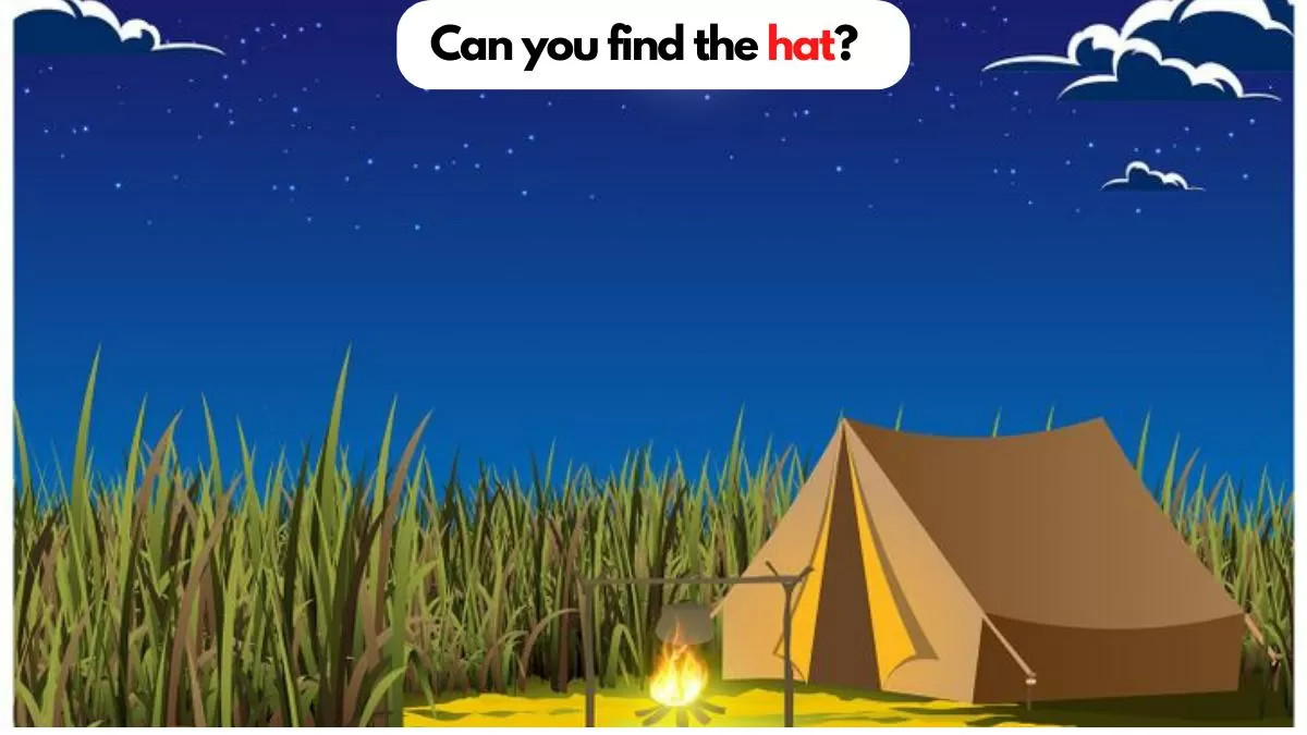 Brain Teaser: Prove You Are A True Puzzle Champion By Finding The Hat Hidden In The Field In 8 Seconds. 