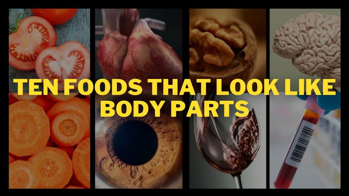 Fruits That Resemble Body Parts