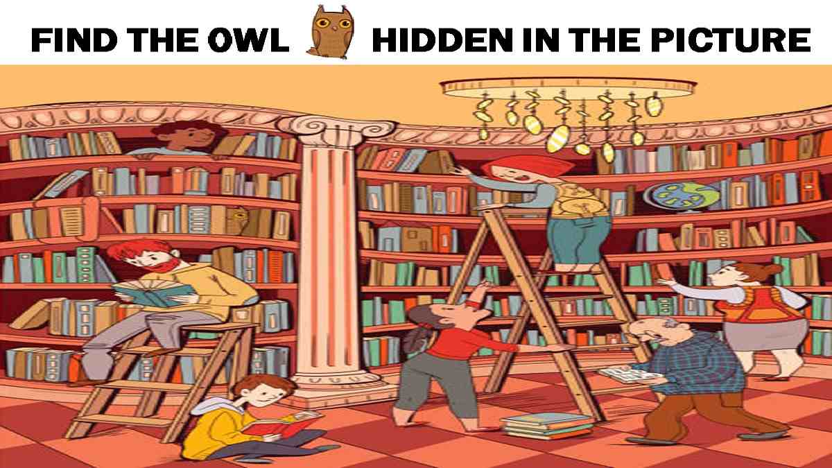 Picture Puzzles Only 1% Visually Intelligent Can Find The Owl In This Library Within 11 Seconds