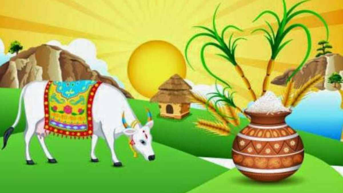 What are the different types of Pongal?