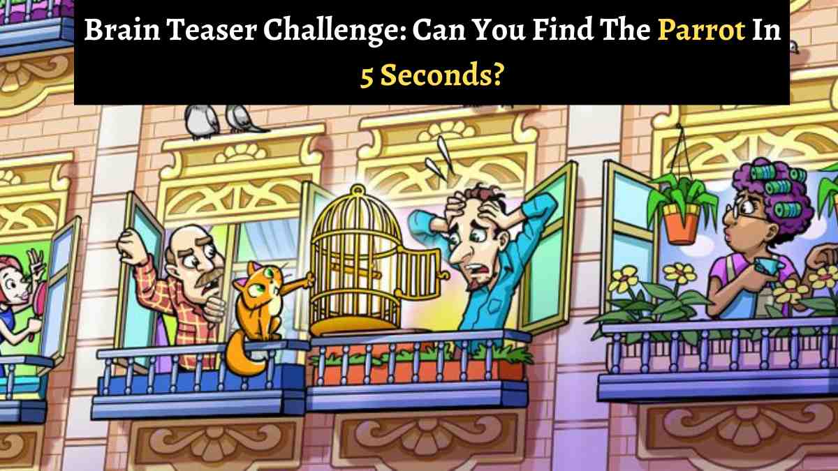 Brain Teaser Challenge: Can You Find The Parrot On The Balcony In 5 Seconds?