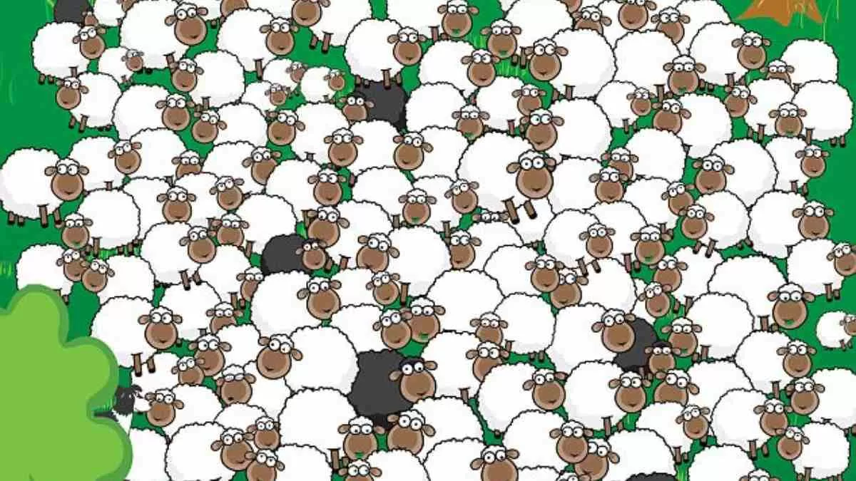 Optical Illusion for Testing Your IQ