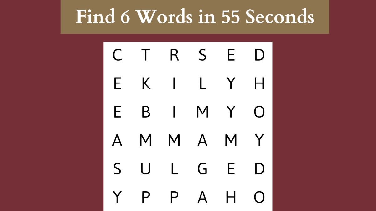 word-search-puzzle-can-you-find-6-words-in-the-image-within-55-seconds