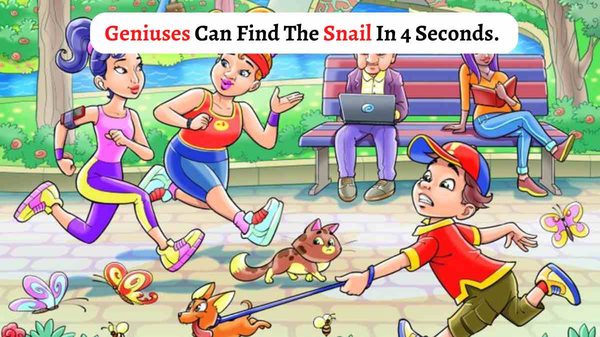 Brain Teaser IQ Test: If You Are A Genius, Then You Can Find The Snail In The Park In 4 Seconds!