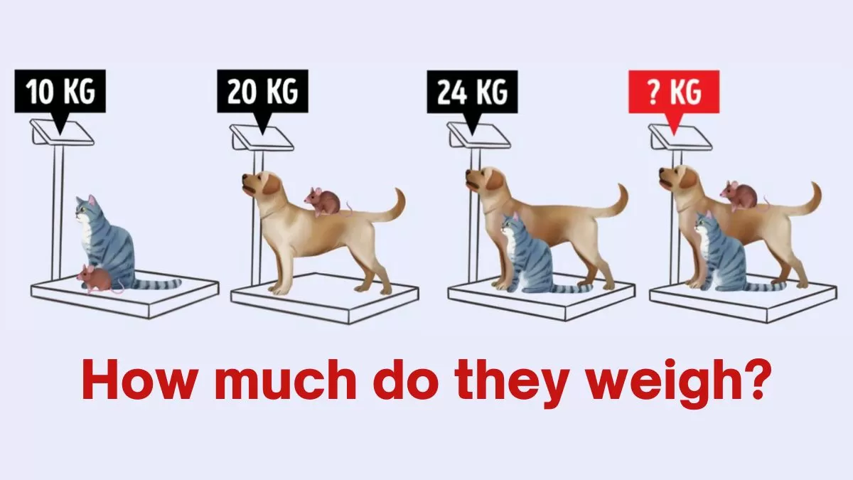 A Super Simple Way to Weigh Your Dog