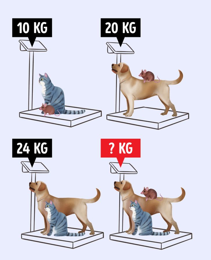 Dog cat and hot sale rabbit weight puzzle