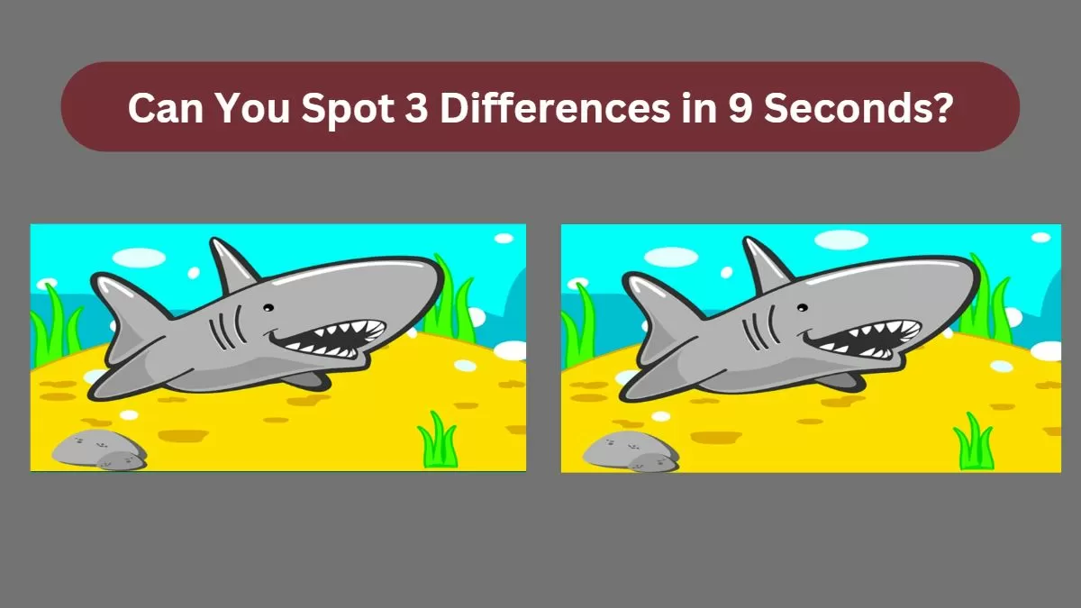 Spot 3 Differences in 9 Seconds