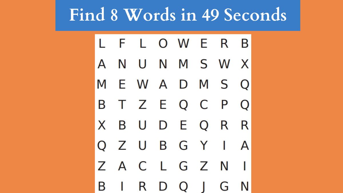 Find 8 Words in 49 Seconds