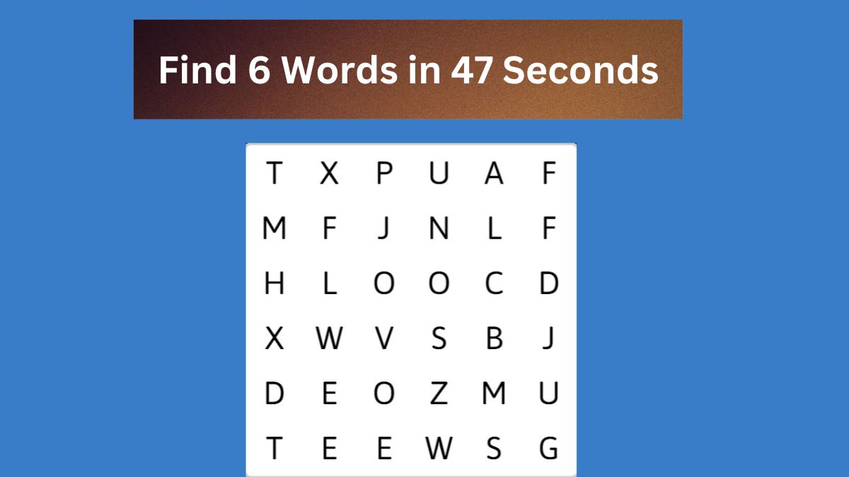 Find 6 Words in 47 Seconds