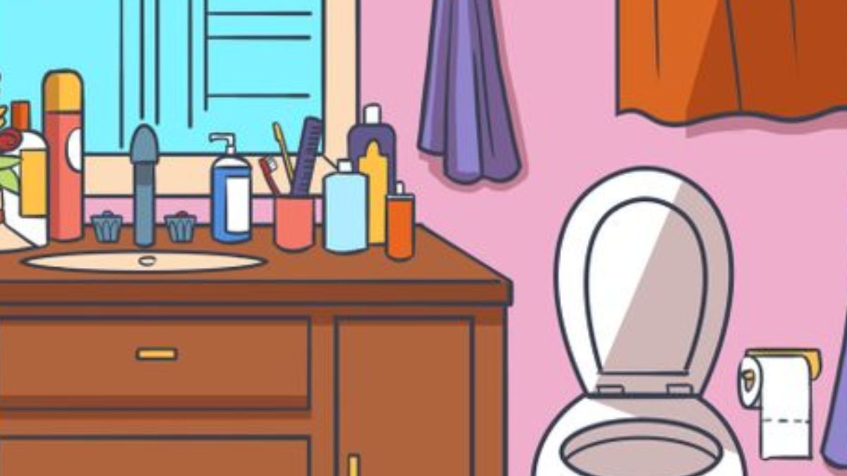 Brain Teaser For Fun: Can you spot what's wrong with this Bathroom image  within 23 seconds?