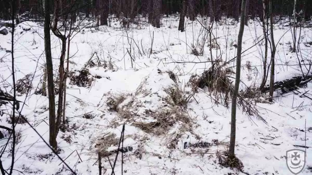 Can you find the Hidden Sniper in this Optical Illusion?